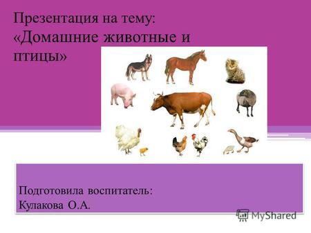 Подготовила воспитатель: Кулакова О.А. Презентация на тему: « Домашние животные и птицы »