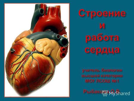 повторить эволюцию кровеносной системы позвоночных животных ; раскрыть связь строения сердца с его функциями ; дать понятие о сердечном цикле ; раскрыть.