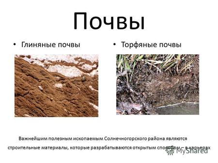 Почвы Глиняные почвы Торфяные почвы Важнейшим полезным ископаемым Солнечногорского района являются строительные материалы, которые разрабатываются открытым.