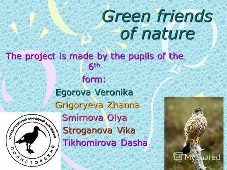 Green friends of nature The project is made by the pupils of the 6 th form: Egorova Veronika Grigoryeva Zhanna Grigoryeva Zhanna Smirnova Olya Stroganova.