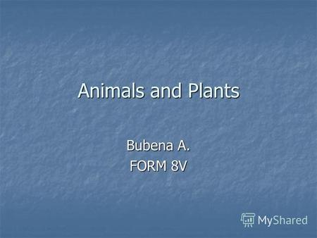 Animals and Plants Bubena A. FORM 8V. No one knows how many different species of wild plants and animals there are on our planet.