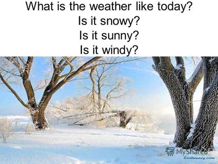What is the weather like today? Is it snowy? Is it sunny? Is it windy?