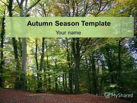 Autumn Season Template Your name. Example Bullet Point Slide Bullet point –Sub Bullet.