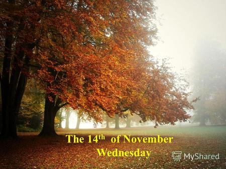 The 14 th of November Wednesday. People Speak English All Over the World.