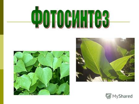 Цель урока: - Сформировать знания о фотосинтезе как пластическом обмене веществ у растений; -Изучить стадии фотосинтеза;