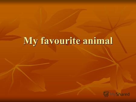 My favourite animal. I like animals and I have got a cat, a dog and a parrot at home. I take care of my pets by feeding them. I spend a lot of time with.