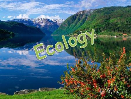 The aims of our lesson are: to repeat the words and expressions on the topic Ecology to work out ecological rules Rules for people in the forest to repeat.