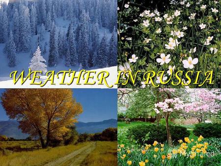WEATHER IN RUSSIA. Everyone knows that there are four seasons in a year: spring, summer, autumn and winter.