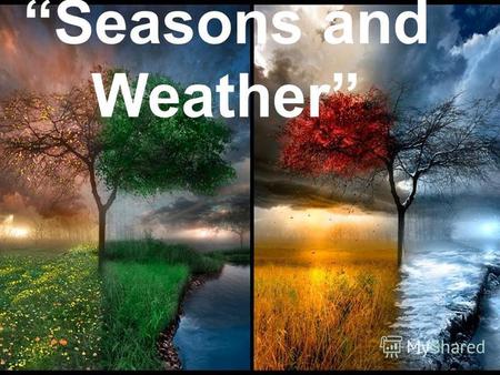 Seasons and Weather. Spring is green. Summer is bright. Autumn is yellow. Winter is white.