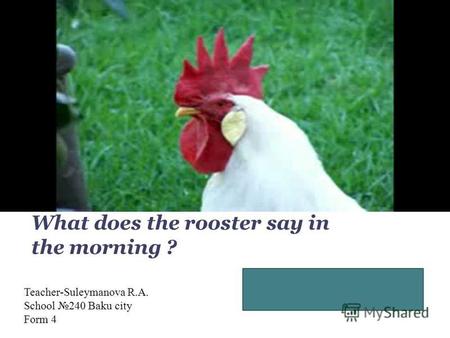 Good, morning! It is time, time to get up! What does the rooster say in the morning ? Teacher-Suleymanova R.A. School 240 Baku city Form 4.