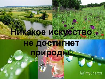 Никакое искусство не достигнет природы.. 1. Роса – мелкие капли влаги, оседающие на растениях, почве при наступлении утренней, или вечерней прохлады.