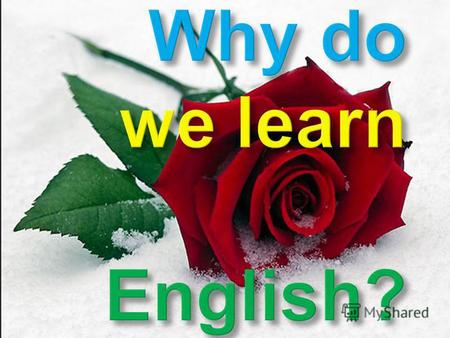 Wherever you go, you need English Actuality o f this work causes no doubts, as English is widespread now in all spheres of our life. About the quarter.