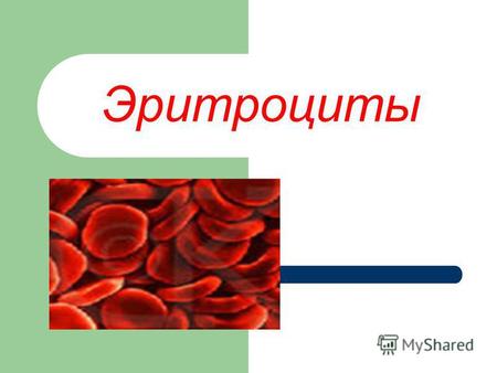 Эритроциты Эритроциты – красные кровяные клетки, транспортирующие кислород к тканям и углекислый газ к легким. Эритроциты имеют форму двояковогнутых дисков.