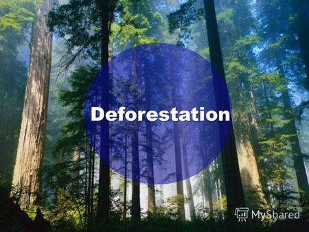 Deforestation. What is deforestation? Deforestation is cutting down whole forests of trees.