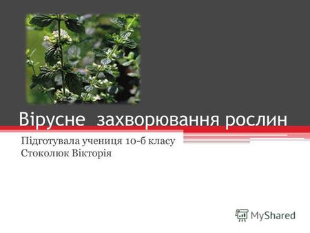 Вірусне захворювання рослин Підготувала учениця 10-б класу Стоколюк Вікторія.