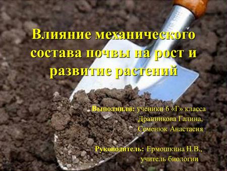 Влияние механического состава почвы на рост и развитие растений Выполнили: ученики 6 «Г» класса Дранникова Галина, Семенюк Анастасия Руководитель: Ермошкина.