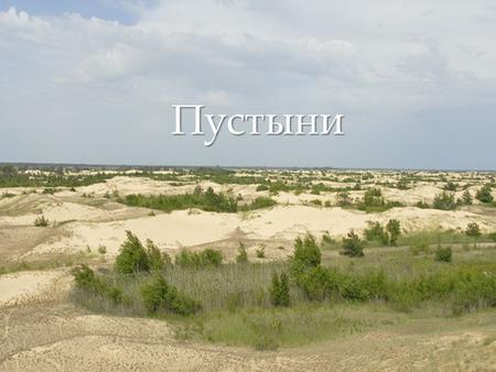 { Пустыни {{ { Цимлянские пески расположены на территории Волгоградской и Ростовской областей, имеют форму вытянутого ромба со сторонами: западная 27.