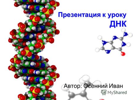 Презентация к уроку ДНК Автор: Осенний Иван. Хромосомы - это носители информации в ядре клетки, состоящие из молекул ДНК (ДезоксирибоНукле- иновые Кислоты).