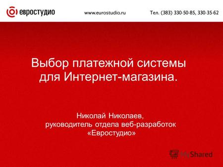 Выбор платежной системы для Интернет-магазина. Николай Николаев, руководитель отдела веб-разработок «Евростудио»