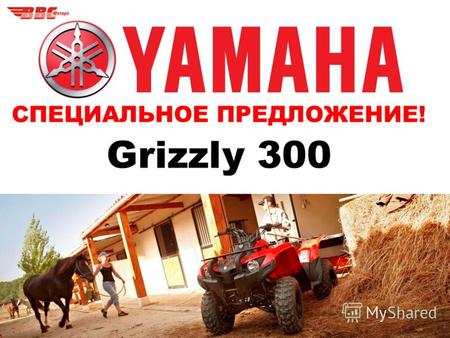 СПЕЦИАЛЬНОЕ ПРЕДЛОЖЕНИЕ! Grizzly 300. О продукте: Grizzly 300- безотказная рабочая лошадка. Доверьте вашу работу надежному и универсальному Grizzly 300.