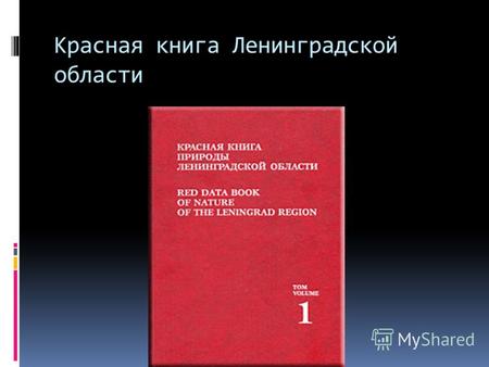 Красная книга Ленинградской области. Список редких и охраняемых птиц региона.