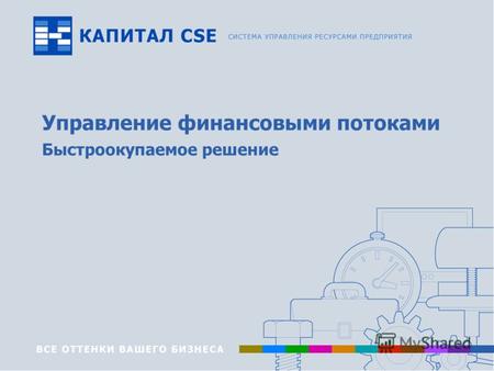 Www.capitalcse.ru Управление финансовыми потоками Быстроокупаемое решение.