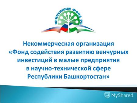 Некоммерческая организация «Фонд содействия развитию венчурных инвестиций в малые предприятия в научно-технической сфере Республики Башкортостан»