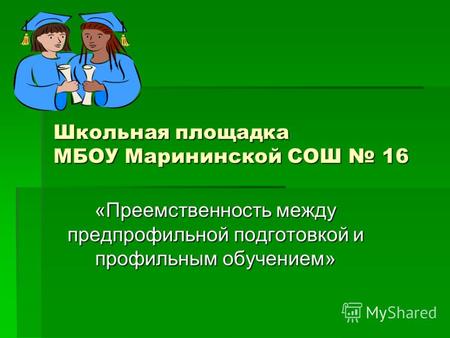 Школьная площадка МБОУ Марининской СОШ 16 «Преемственность между предпрофильной подготовкой и профильным обучением»