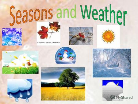 There are 4 seasons in the year: WINTER SPRING SUMMER AUTUMN.