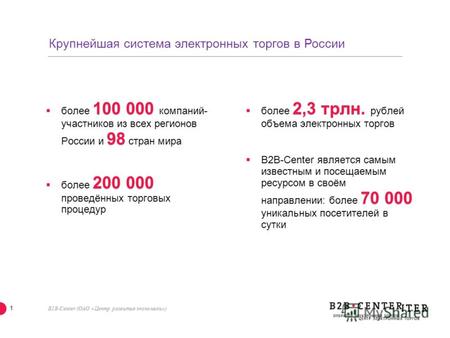 B2B-Center (ОАО «Центр развития экономики») Лидер российского рынка электронной b2b-торговли www.b2b-center.ru.