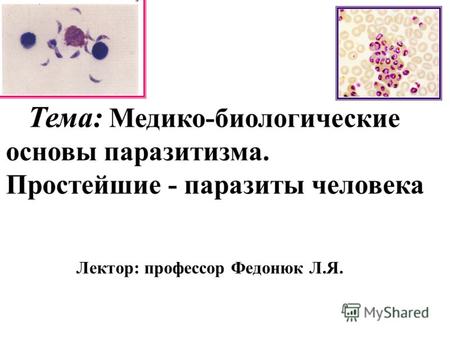 Тема: Медико-биологические основы паразитизма. Простейшие - паразиты человека Лектор: профессор Федонюк Л.Я.