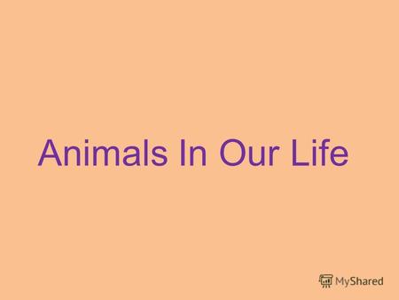 Animals In Our Life. [s], [d], [t], [f], [v], [e], [ei], [a:], [ai].