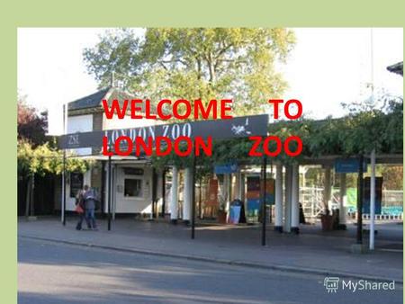 WELCOME TO LONDON ZOO. London Zoo is one of the most famous of all London attractions. It is situated in Regents Park and was opened in 1828 by the Zoological.