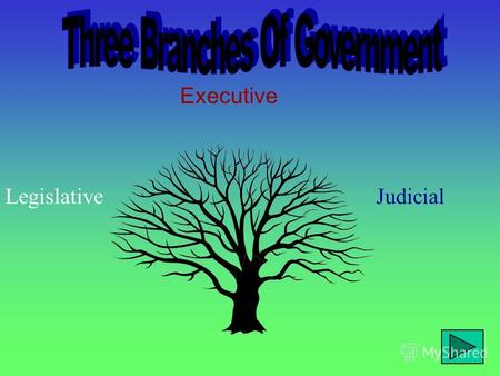 Executive LegislativeJudicial In the United States of America, a democracy, a system of checks and balances makes sure that no one branch of government.