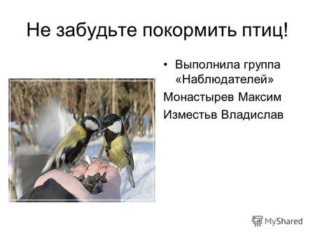 Не забудьте покормить птиц! Выполнила группа «Наблюдателей» Монастырев Максим Изместьв Владислав.
