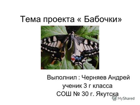 Тема проекта « Бабочки» Выполнил : Черняев Андрей ученик 3 г класса СОШ 30 г. Якутска.