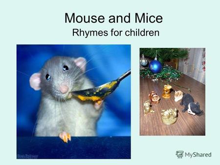 Mouse and Mice Rhymes for children. A Brave Mouse I am a brave, brave Mouse. I am marching through the house. All day long I dance and sing. Im not afraid.