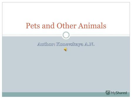 Pets and Other Animals. There are different animals.