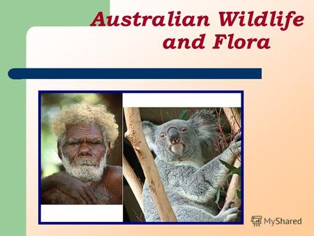 Australian Wildlife and Flora. Flora Australia is blessed with a fascinating mix of native flora. Its distinctive plants include the gum tree or eucalypt,