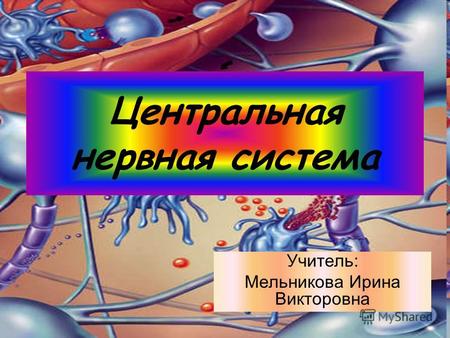 Центральная нервная система Учитель: Мельникова Ирина Викторовна.
