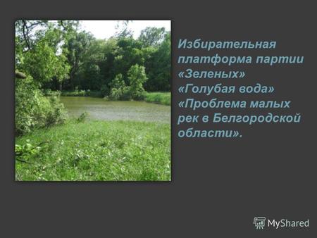 Избирательная платформа партии «Зеленых» «Голубая вода» «Проблема малых рек в Белгородской области».