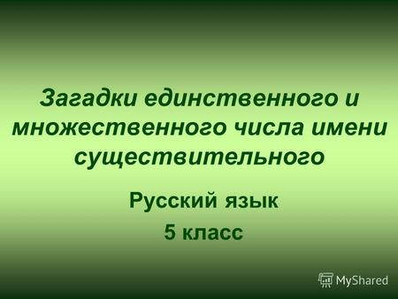 Загадки единственного и множественного числа имени существительного Русский язык 5 класс.