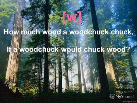 How much wood a woodchuck chuck, If a woodchuck would chuck wood? [w]