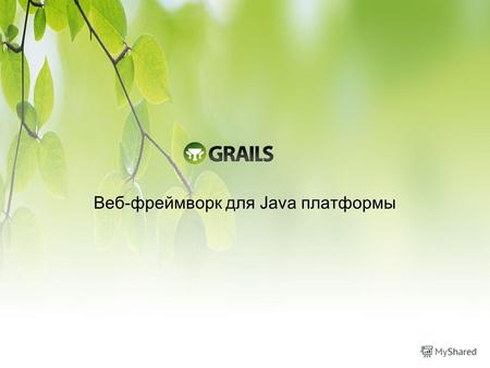 Веб-фреймворк для Java платформы. Что такое Grails? Веб-фреймворк для Java платформы на языке Groovy Инспирирован RoR Open source. Активно поддерживается.