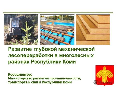 Развитие глубокой механической лесопереработки в многолесных районах Республики Коми Координатор: Министерство развития промышленности, транспорта и связи.
