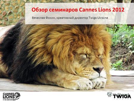 Обзор семинаров Cannes Lions 2012 Вячеслав Фокин, креативный директор Twiga Ukraine.