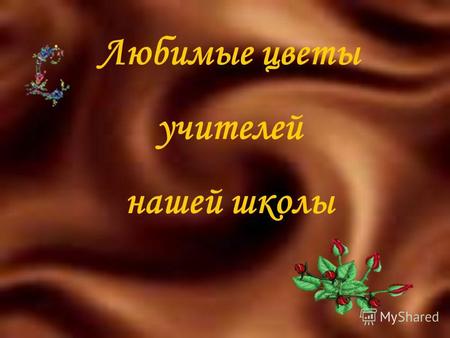 Любимые цветы учителей нашей школы. ......... Любимые цветы учителей Соколова Елена Юрьевна.