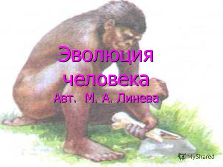 Эволюция человека Авт. М. А. Линева. Введение Антропогенез- процесс выделения человека из мира животных- прошёл по мнению многих учёных в четыре основные.