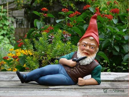 Hello, boys and girls! My name is Gnome. I am very old. I am from Great Britain. I live in the forest. I have no mother, no father, no brother and sister.