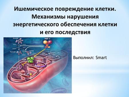 Ишемическое повреждение клетки. Механизмы нарушения энергетического обеспечения клетки и его последствия Выполнил: Smart.